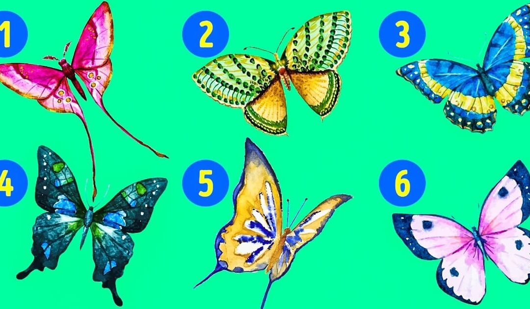 La mariposa que elijas revela lados ocultos de tu personalidad