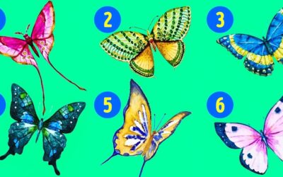 La mariposa que elijas revela lados ocultos de tu personalidad