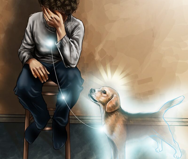 La misión espiritual de tu perro
