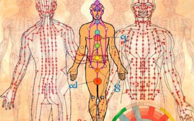 Los 21 chakras menores