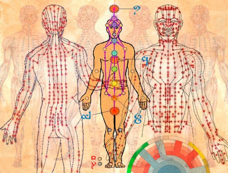 los-21-chakras-menores-evoluci-n-consciente